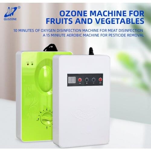Mini Portable Small Ozone Generator For Household Residential 500MG Purify Water