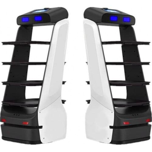 Robot Robotics Kit For School Children Multi-function Sterilizer Disinfection Robot Fog Machine For Office Hotel Shopping Mall