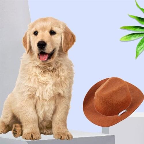 1PC Soilid Color Pet Hat Universal Dog Hat Party Cowboy Hat Outdoor Decorative Hat Photo Prop for Shop Street