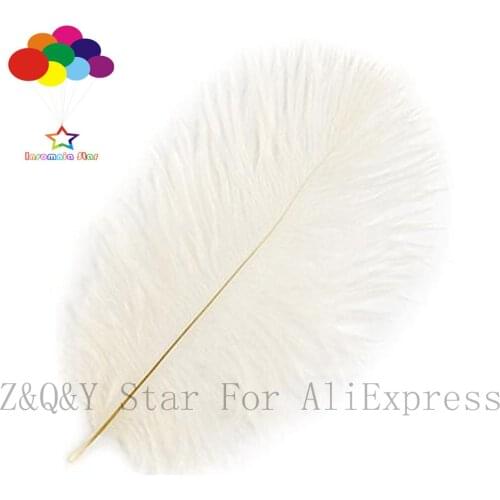 Natural beautiful 20-25CM ostrich hair 10-100 dyeing DIY craft accessories clothing accessories feather