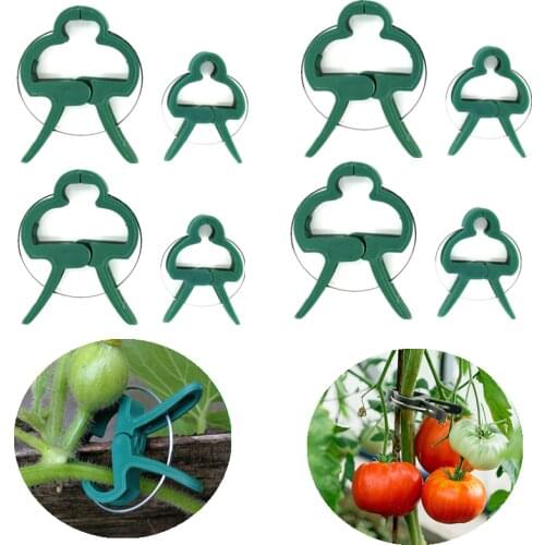 10/20/30 Pcs Reusable Clips Green Garden Plant Fixed Clips Greenhouse Vegetables Flower Stem Grapevines Support Fastener