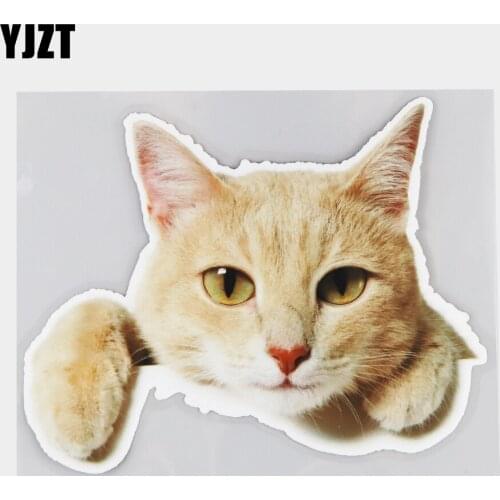 YJZT 17.7×14CM Humorous Voyeur Cat Car Body Decoration Funny Animal Vinyl Decals Car Accessories 21A-0035
