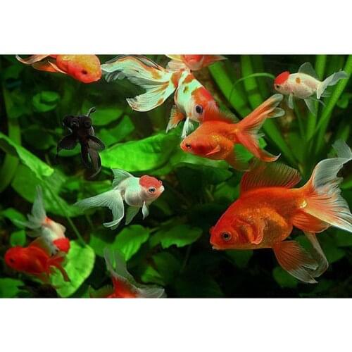 Настенные картины Magic Master China At AliExpress