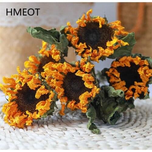 Natural Dried Dunflower Dried Flower Bouquet Plants Wedding Bouquet Creative Home Decor Flower Arrangement Props Gifts Wholesale