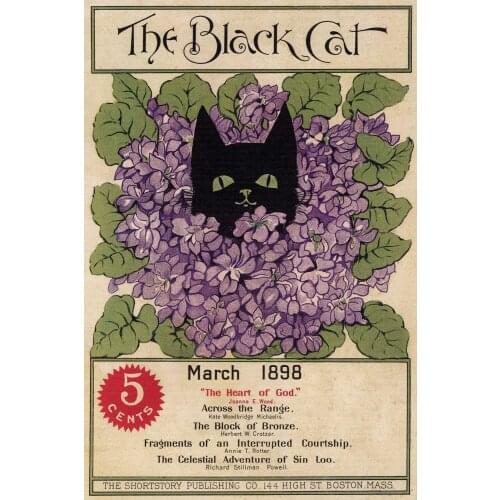 Retro Metal Poster Series - The Black Cat 1898 American Magazine Cover - Poster Tin Sign Metal Scenery Character Poster
