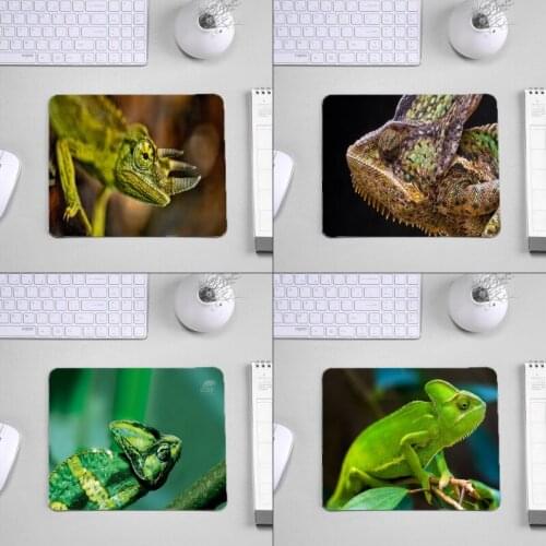 Mairuige So Cool Animals Chameleon Pattern Pc Mousepads for Chameleon Lovers Cat Dog Pet Design Printed Gaming Mouse Mat Pad