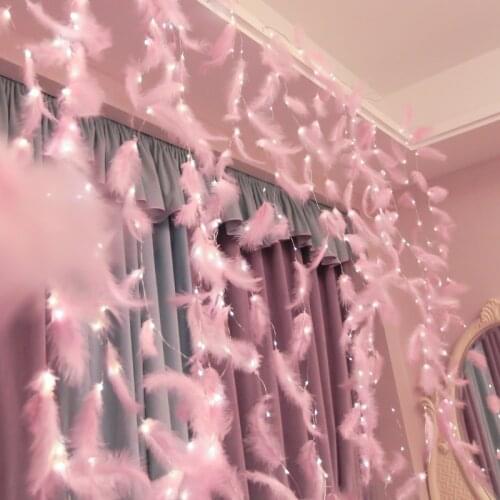 Romantic Valentines Day Feather Copper Curtain String Girls Room Ins Decorative Lights String USB Remote LED Star Lights