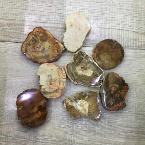 Cute small size 100% natural stones and minerals wood fossil slice reiki healing crystals for home decoration wholesale price