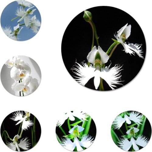 White Egret Orchid Icons Pins Badge Decoration Brooches Metal Badges For Clothes Backpack Decoration 58mm