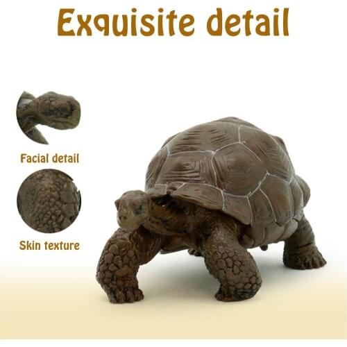 3 Inch Sea Life Simulation Animal Model Galapagos Tortoise Turtle Model Figure Animal Toy Educational Collection Gift For Kids