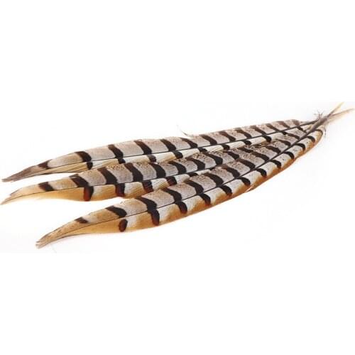 Hot Sale 50pcs/lot Beautiful Pheasant Feathers 25-30cm/10-12inch Celebration Home Diy DIY Feathers for Crafts
