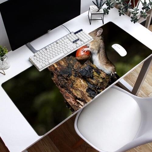 Cute animal Gaming Mouse Pad Grande 900x400 Extra Large XXL Gamer Keyboard Mousepad Waterproof Maus Pad Desk Mouse Mat Game