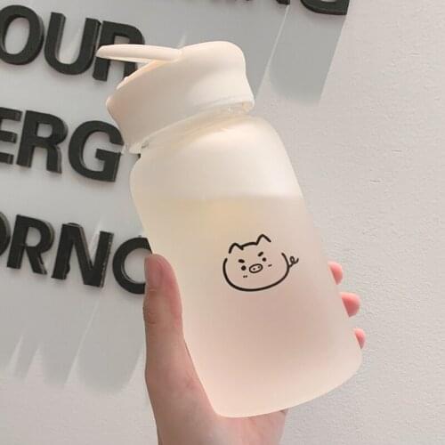 Glass Bottle Frosted Glass Fresh and Lovely Portable Creative Personality-Style Simple Household Cup
