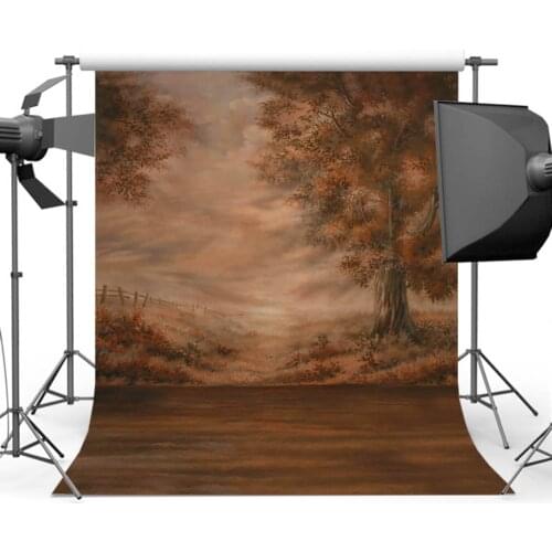 Mehofoto Old Master Vintage Photography Backdrops Retro Portrait Backgrounds for Photographers Studio Photo CM-0503