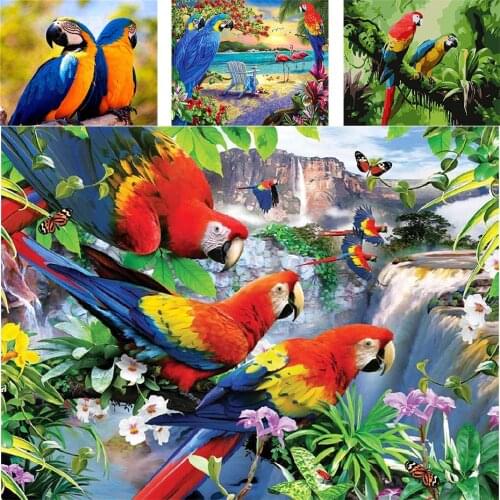 Adult Coloring By Numbers Animal DIY Oil Painting By Numbers Parrot On Canvas Picture For Living Room Home Decoration