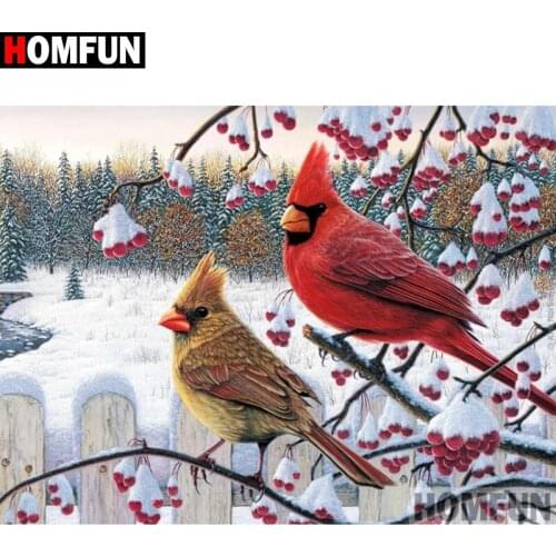 HOMFUN Full Square/Round Drill 5D DIY Diamond Painting "Bird snow scene " 3D Diamond Embroidery Cross Stitch Home Decor A20308