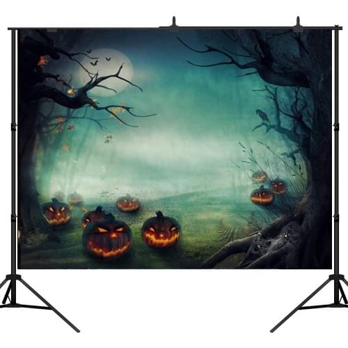 Lyavshi photography backdrop Night Skull Pumpkin Light Halloween professional festival photo background photographic