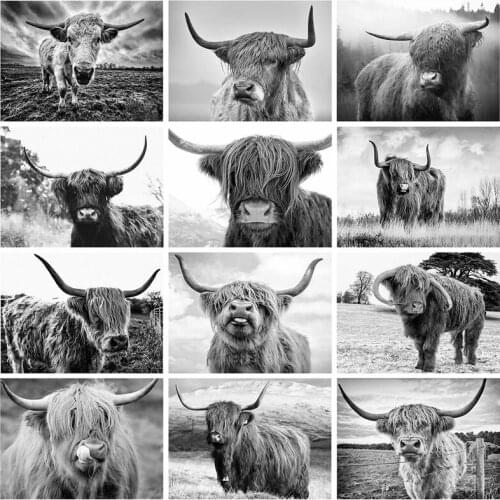 Nordic Style Highland Cow Black White Animals Canvas Painting Poster and Prints Wall Art Abstract Pictures Home Decor Cuadros