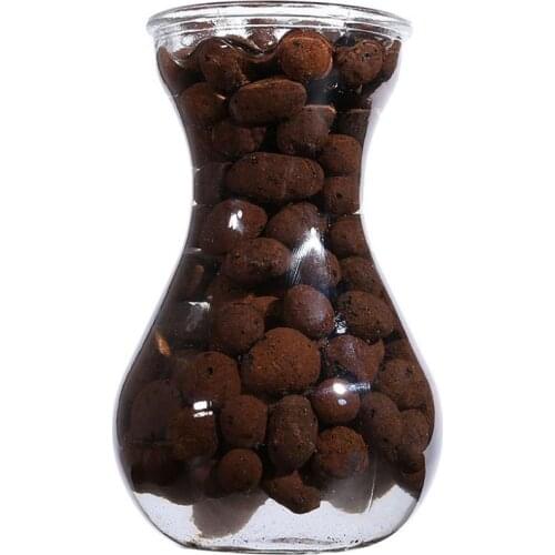100g/Pack Ceramic Hydroponic Soil Negative Ion Pottery Carbon Ball Nutrient Organic Expanded Clay Pebbles Plant Aquaculture