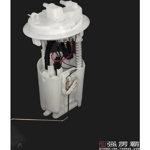 Genuine high quality fuel pump assembly for Picasso DSF-A208