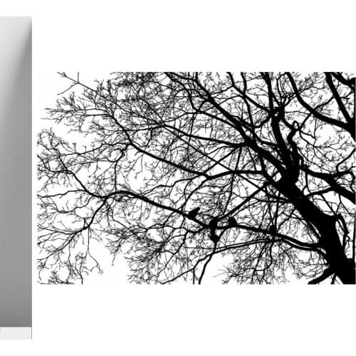 Lush Trees Transparent Silicone Stamp for DIY Scrapbooking/Photo Album Decorative Card Making Clear Stamps Supplies