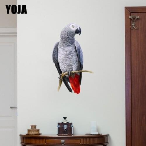 YOJA 28.8×49CM Delicate Gray Parrot Animal Home Decor Funny Cartoon Wall Sticker PVC Decal 8WS0179