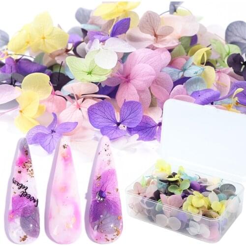 100pc Fasting Dried Flowers 3D Nail Art Decoration Natural Floral Sticker Charms Nail Designs UV Gel Polish Accessories BE1505-1