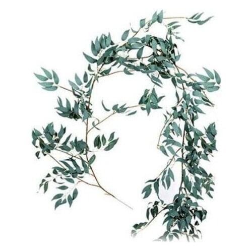 Семена PACEDA China At AliExpress