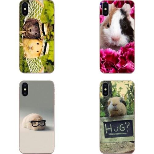 TPU Quinn Phone White Guinea Pig Animal Print For Samsung Galaxy S9 S10 S20 Plus Ultra S6 S7 S8 Edge Plus
