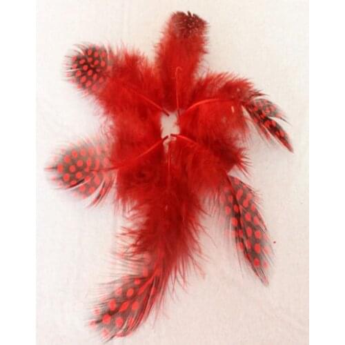 Wholesale 20pcs high quality beatiful natural guinea fowl feather 5-8cm / 2-3inch Decorative diy red