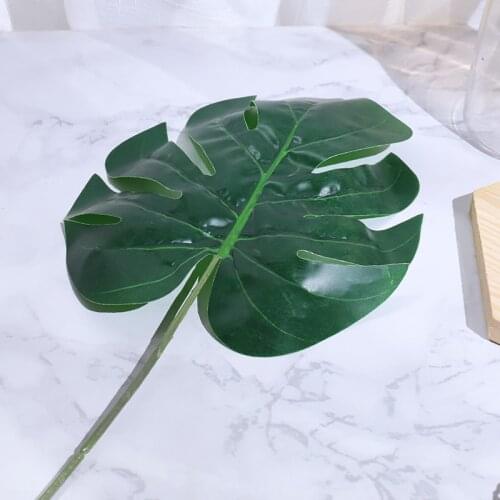 DociDaci Artificial Palms