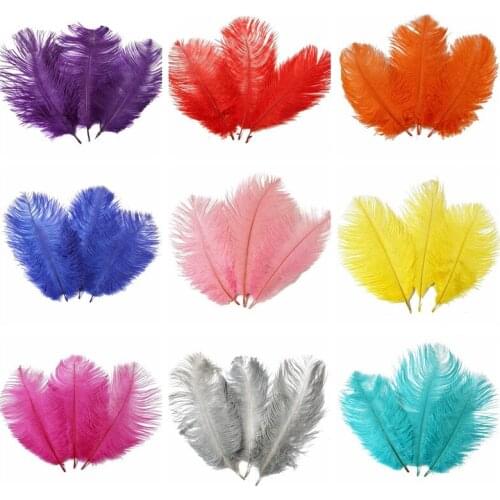 Wholesale 10pcs/lot Beautiful Ostrich Feather 15-20cm/6-8inch for Wedding Jewelry Diy Dancers Accessories Plume Plumas