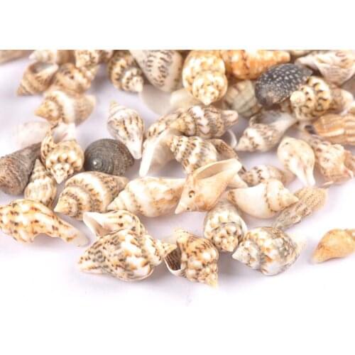 100pcs Natural Leopard Print Shell Loose Beads for Fish tank decoration and home decoration 7-10mm TRS0407