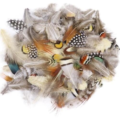 50Pcs Natural Rooster Feathers Wedding Decoration DIY Carnival Jewelry Accessory Mixing Small Chicken Plumes For Crafts 3-8cm