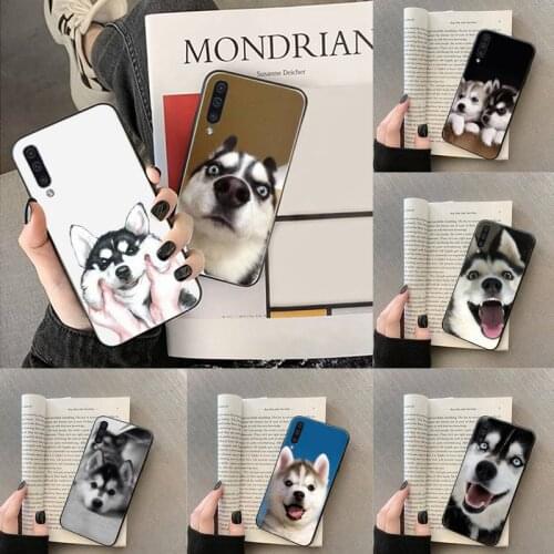 Husky dog cute animal Black TPU Soft Phone Case For Samsung Galaxy A 3 6 7 8 10 20 30 40 50 70 71 10S 20S 30S 50S PLUS