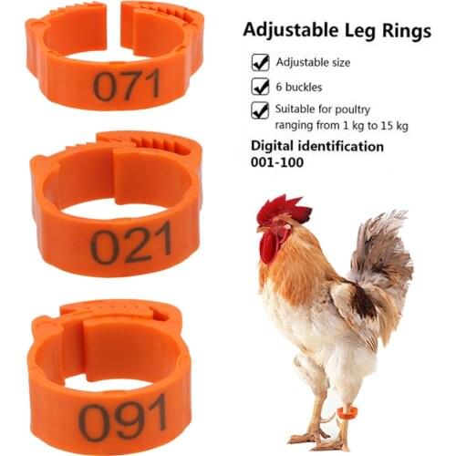 Foot Ring Adjustable Poultry farm Supplies Color Randomly 100Pcs/set Leg Digital Label Buckle Ring For Chicken Duck Pigeon