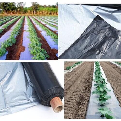 New Arrival 0.02mm Width 1M Agriculture Silver Black Plastic Mulch Greenhouse Keep Warm Organic Insect Control Ground Film