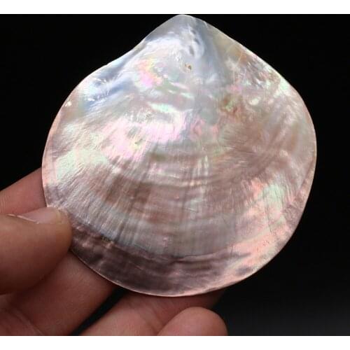 Natural Shell Pendant without punching Sea Shell for Jewelry Making DIY Necklace Accessorie Gift for Women