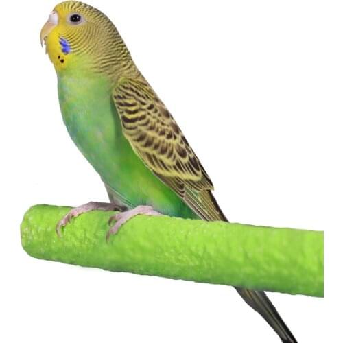 Parrot Toys Cage Bird Perch Parrot Stand Platform Chew Toy Paw Grinding Clean Bird Toys for Bites Parakeet Random Color 1PC