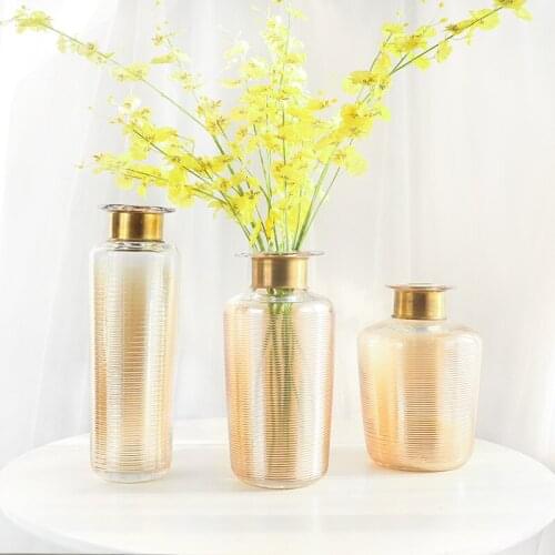 American Style Luxury Glass Vase Metal Ring Combination Floriculture Indoor Flower Arrangement Home Decoration