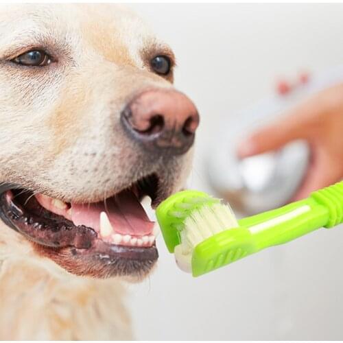 Headed Pet Dog Teeth Cleaning Kit Pet Beauty Toothbrush Three Head Dog Cat Teeth Care Cleaning Mouth Tools