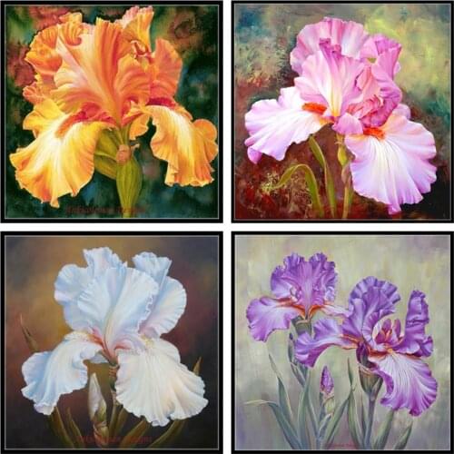 Counted Cross Stitch Kits Needlework Embroidery - Crafts 14 ct Aida DMC Color DIY Arts Handmade Home Decor - Irises Collection