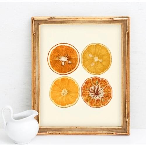 Orange Citrus Art Print Antique Botanical Fruit Orange Slice Poster Vintage Kitchen Farmhouse Decoration Canvas Painting Picture