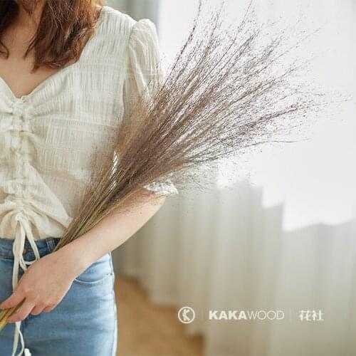 Net Red Pink Black Messy Grass Northern European Japanese Style Natural Dried Flowers Flower Arrangement Plants with