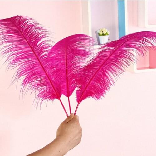 Sales of high-quality 50pcs / Many rose ostrich feathers 45-50cm, DIY wedding decorations / decorative home accessories
