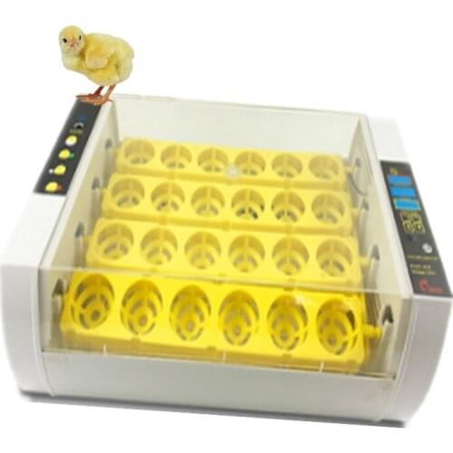 CE-Approved-Household-Automatic incubator be used as brooder
