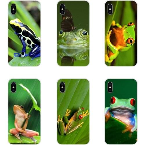 Frogs A rainbow frog Green For Samsung Galaxy S4 S5 MINI S6 S7 edge S8 S9 S10 Plus Note 3 4 5 8 9 Accessories Phone Cases Covers
