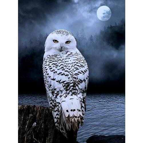 Full Square Diamond 5D DIY Owl Diamond Painting Cross Stitch Rhinestone Mosaic Decoration Gift Diamond Embroidery FH779