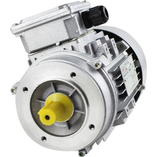 China 3 phase aluminum housing asynchronous motor YS6314,custom ac motor