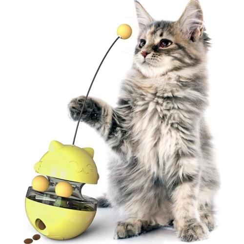 New Interactive Cat Toys, Cat Toy Tumblers That Leak Food, Cat Toy Balls, Cat Tumbler Type Toys And Toy Car Funny Cat Sticks